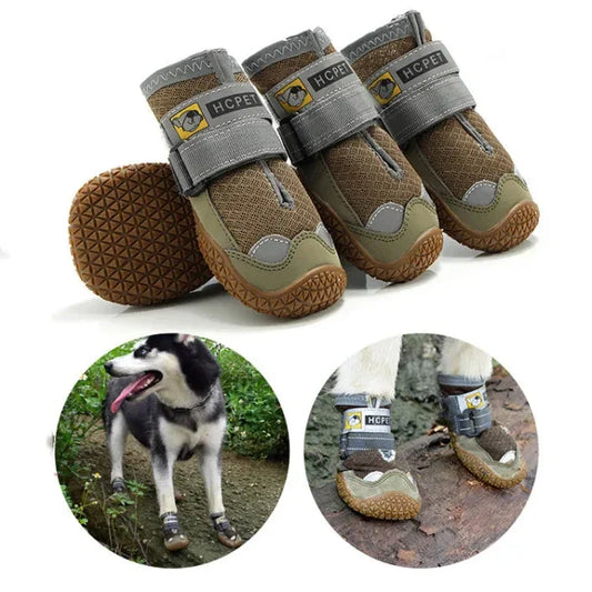 Andningsbara Hundskor för Sommaren