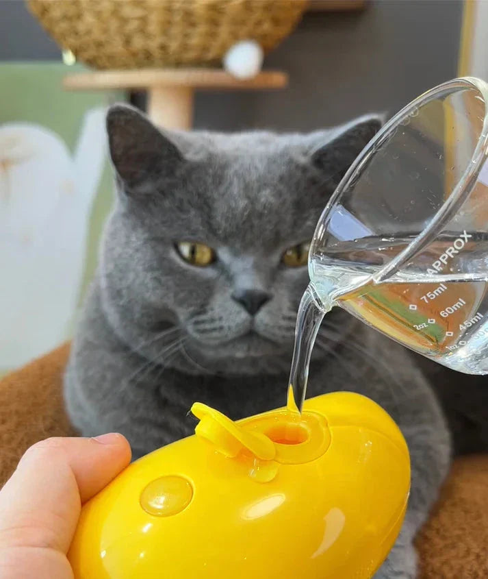 Kattborste med ånga – skonsam pälsvård som minskar tovor och löst hår