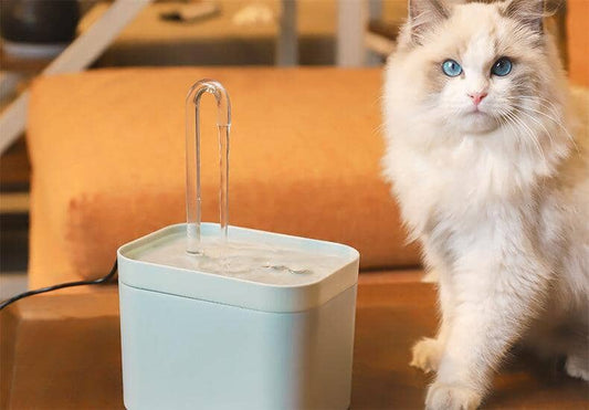 Vattenfontän för katt – Tyst vattenfontän med filter & justerbart flöde (1,5 L)