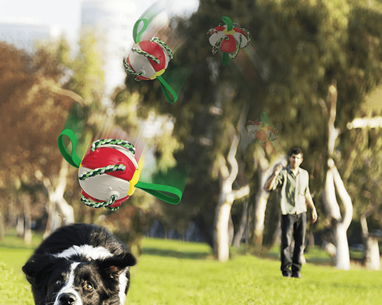 Frisbeeboll - Hundleksak