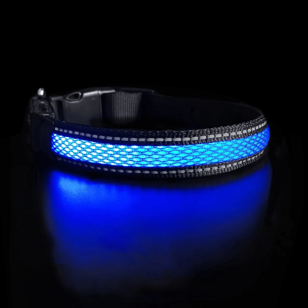 LED Säkerhetshalsband Hund – Synlig i Mörker & Regn