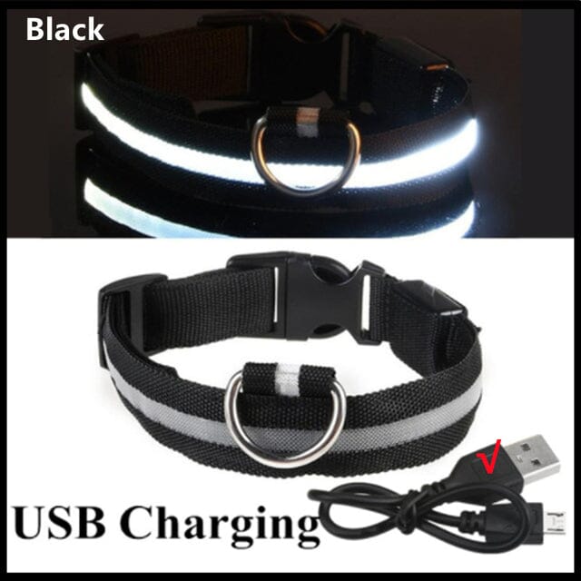 LED Hundhalsband