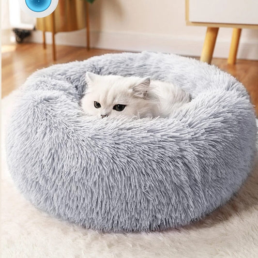 Lugnande kattsäng
