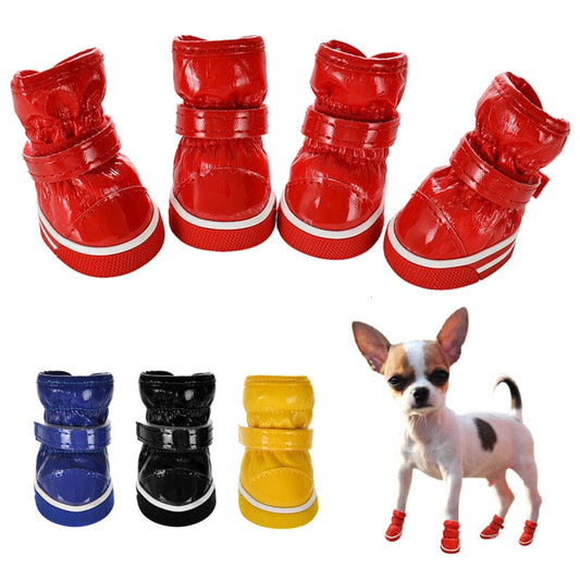 Moonboots för hundar - Hundskor till vintern
