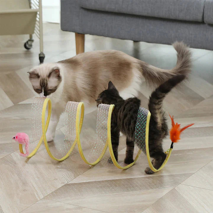Springy - Kattleksak